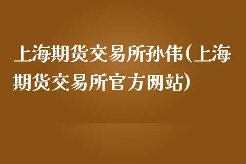 上海期货交易所孙伟(上海期货交易所官方网站)