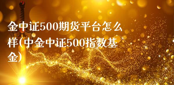 金中证500期货平台怎么样(中金中证500指数基金)