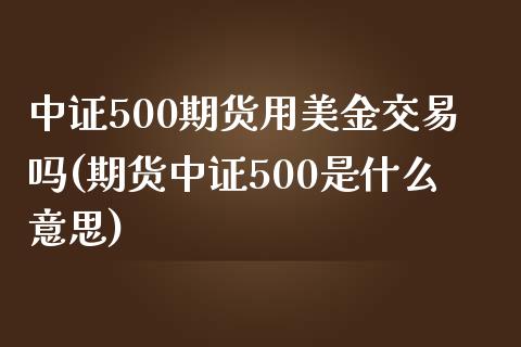 中证500期货用美金交易吗(期货中证500是什么意思)