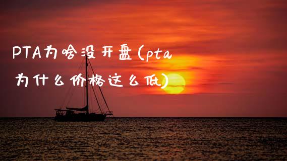 PTA为啥没开盘(pta为什么价格这么低)