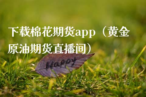 下载棉花期货app（黄金原油期货直播间）