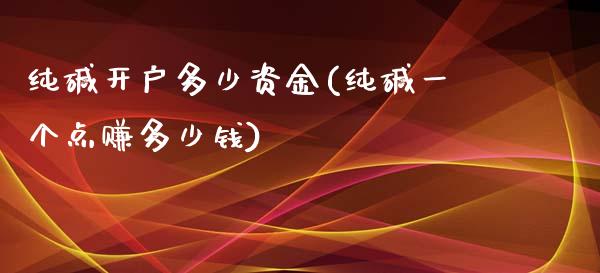 纯碱开户多少资金(纯碱一个点赚多少钱)