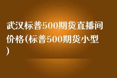 武汉标普500期货直播间价格(标普500期货小型)