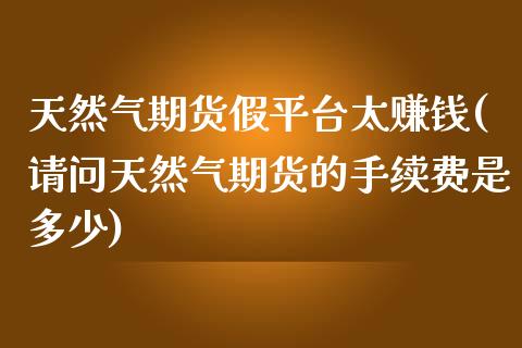 天然气期货假平台太赚钱(请问天然气期货的手续费是多少)