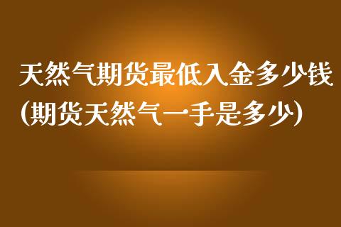 天然气期货最低入金多少钱(期货天然气一手是多少)