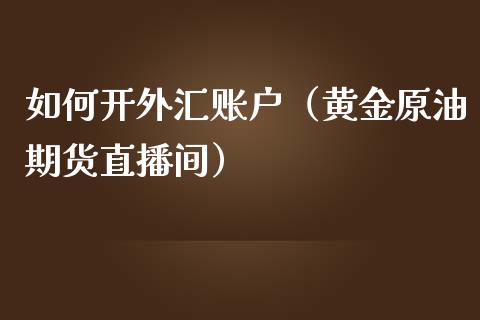 如何开外汇账户（黄金原油期货直播间）