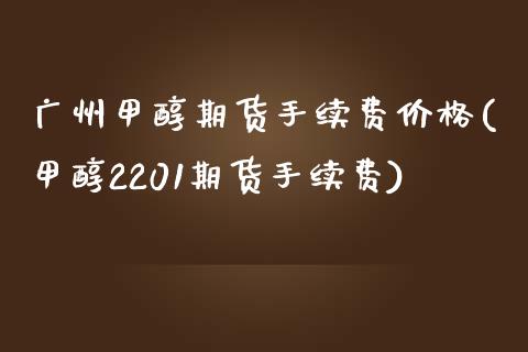 广州甲醇期货手续费价格(甲醇2201期货手续费)